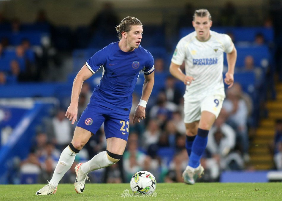 沿海区域的 沿海区域的